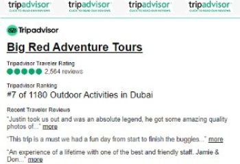 Buggy Nachttour 2 Sitzer8