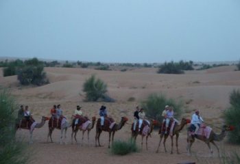 CONSERVATION DRIVE MIT5